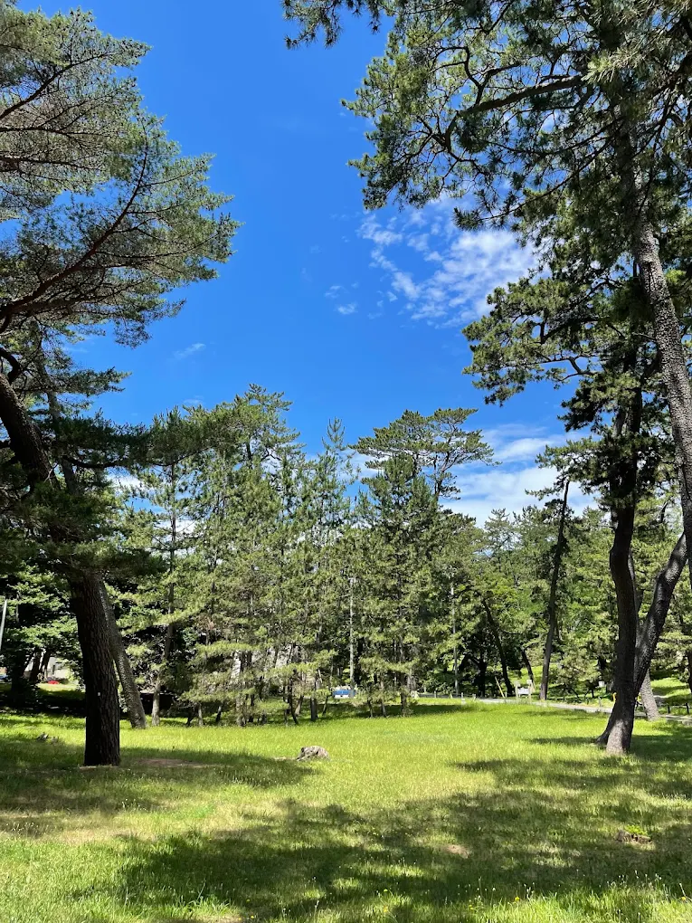 会場イメージ 1